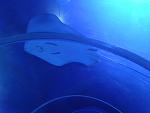     
: 2014-11-08 16.19.20.jpg
: 13
:	99.5 
ID:	9013703