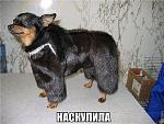     
: 8CLns9FaUEc.jpg
: 14
:	37.1 
ID:	9014549