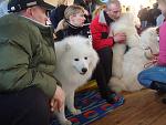     
: DSC02322.JPG
: 20
:	100.2 
ID:	901671