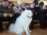     
: DSC02346.JPG
: 17
:	90.7 
ID:	901672