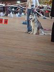     
: DSC02373.JPG
: 14
:	100.6 
ID:	901676