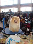     
: DSC02379.JPG
: 20
:	110.2 
ID:	901681