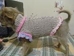     
: IMG_0870.jpg
: 6
:	133.4 
ID:	9016814