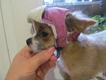     
: IMG_0903.jpg
: 8
:	81.6 
ID:	9016817