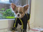     
: IMG_0893.jpg
: 6
:	105.1 
ID:	9016833