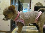     
: IMG_0877.jpg
: 4
:	126.9 
ID:	9016837