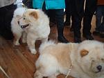     
: DSC02326.JPG
: 38
:	88.9 
ID:	901697