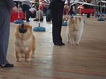     
: DSC02409.JPG
: 23
:	103.8 
ID:	901705