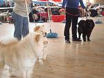     
: DSC02419.JPG
: 22
:	101.1 
ID:	901710