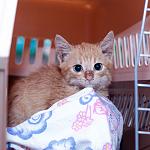    
: DSC_3066.jpg
: 11
:	240.4 
ID:	9017463