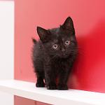     
: DSC_3068.jpg
: 9
:	171.4 
ID:	9017489
