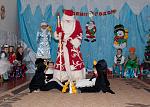     
: DSC07589.jpg
: 14
:	182.6 
ID:	9018084
