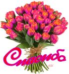     
: 64a6df105ed4.jpg
: 13
:	51.4 
ID:	9019399