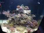     
: image.jpg
: 22
:	196.2 
ID:	9020021
