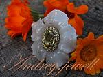     
: IMG_6263.JPG
: 48
:	100.9 
ID:	9022301