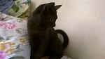     
: WP_20140910_11_00_31_Pro.jpg
: 18
:	74.8 
ID:	9029819