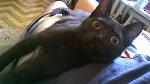     
: WP_20140910_10_45_54_Pro.jpg
: 14
:	86.9 
ID:	9029821