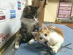     
: IMG_2386.jpg
: 6
:	143.3 
ID:	9030195