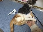     
: IMG_2454.jpg
: 4
:	146.0 
ID:	9030216