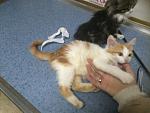     
: IMG_2453.jpg
: 6
:	113.5 
ID:	9030229
