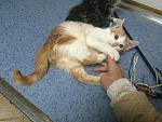     
: IMG_2463.jpg
: 4
:	155.8 
ID:	9030230
