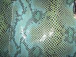     
: IMG_4414.jpg
: 16
:	303.7 
ID:	9038005