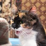     
: DSC_0076.jpg
: 6
:	112.9 
ID:	9042214