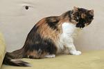     
: DSC_3595.jpg
: 6
:	111.7 
ID:	9042218