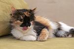     
: DSC_3603 (1).jpg
: 5
:	97.4 
ID:	9042220