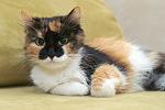     
: DSC_3608.jpg
: 7
:	98.8 
ID:	9042223