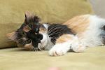     
: DSC_3610.jpg
: 6
:	95.4 
ID:	9042226