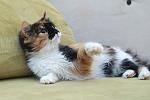     
: DSC_3617.jpg
: 7
:	105.0 
ID:	9042231