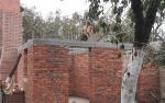     
: 2014-11-21_122634.jpg
: 8
:	62.7 
ID:	9048649