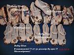     
: 361904_20141030034323_5912_600x600.jpg
: 17
:	61.7 
ID:	9049444