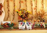    
: DSC_9050.jpg
: 13
:	305.8 
ID:	9051151