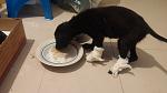     
: 20141123_163236.jpg
: 9
:	65.0 
ID:	9058579