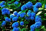     
: 718_1.jpg
: 24
:	100.2 
ID:	9062421