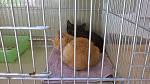     
: 2014-11-24 11.34.23.jpg
: 8
:	171.3 
ID:	9063691
