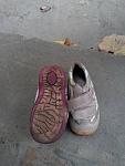     
: IMG_20141112_142110946.jpg
: 37
:	97.2 
ID:	9070408