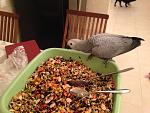     
: image.jpg
: 11
:	153.5 
ID:	9071078