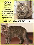     
: катя, таня.jpg
: 14
:	93.8 
ID:	9072213