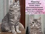     
: пушинка, таня.jpg
: 10
:	98.6 
ID:	9072216