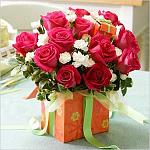     
: pozdr30_w.jpg
: 12
:	32.7 
ID:	9073031