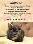     
: пенелопа, лора.jpg
: 9
:	95.4 
ID:	9073614