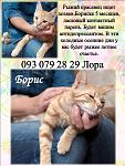     
: борис, лора.jpg
: 8
:	96.5 
ID:	9073616