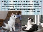     
: тимур, дымок, лор&.jpg
: 7
:	107.3 
ID:	9073619