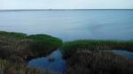     
: IMG_20140612_184803.jpg
: 8
:	70.1 
ID:	9076060