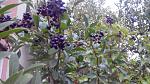     
: IMG_20141022_174603.jpg
: 9
:	147.8 
ID:	9076064