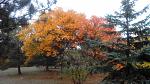     
: IMG_20141016_114226.jpg
: 8
:	179.1 
ID:	9076065