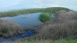     
: IMG_20140612_184755.jpg
: 6
:	110.3 
ID:	9076068